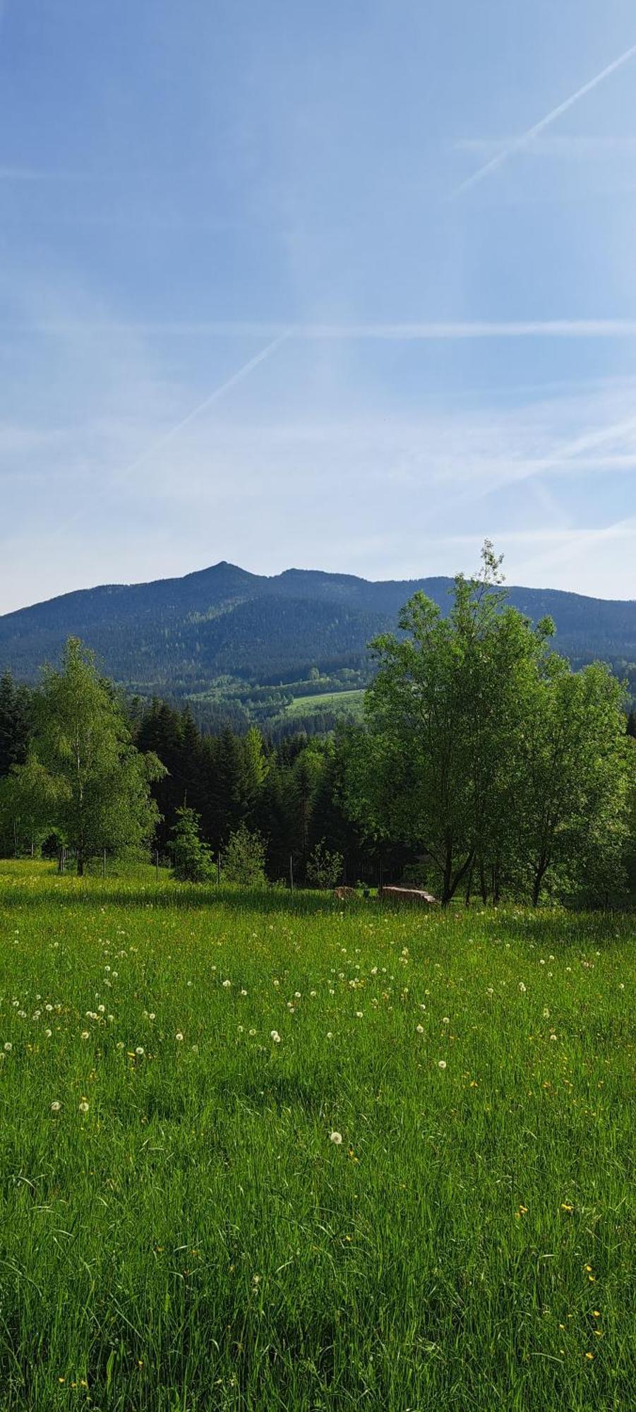 Osserapartment * Schwarzenbach (Cham)